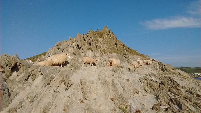 On the move along the South West Coast Path at Morte Point